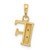 Image of 14K Yellow Gold with Rhodium Diamond Letter F Initial Pendant YC1541F