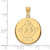 Image of 10K Yellow Gold Syracuse University Large Disc Pendant by LogoArt