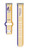 Image of USPS Womens History 19th Amendment HD Watch Band Compatible with Fitbit Versa 3 and Sense
