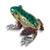 Luxury Giftware Bejeweled FERGUSON Frog Trinket Box with Matching 18 inch Necklace (Gifts)