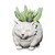Stone Resin Mini Cat Pudgy Planter (Gifts)