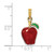 Image of 14K Yellow Gold w/ Enamel 3-D Red Delicious Apple Pendant