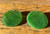 Image of 30mm Genuine Nephrite Jade Round Disc Earrings w/ Sterling Silver Hooks