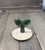 Natural Untreated Solid Nephrite Jade Whale Tail Carving on Wood Base