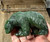 Image of 3.75 inch Canadian Nephrite Jade Fully-Detailed Bear Carving