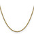 20" 10K Yellow Gold 2.25mm Semi-solid Diamond-cut Rope Chain Necklace