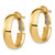 10K Yellow Gold Hollow High Polished 5 mm Omega Back Hoop Earrings, 20.5 mm Long - View 2