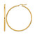 14K Yellow Gold Hollow Polished 2 mm Hoop Earrings, 50 mm Long