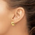 14K Yellow Gold Hollow Polished Hammered Omega Back Stud Earrings, 14.7 mm - View 3