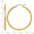 14K Yellow Gold Polished 3 mm Polished Hoop Earrings, 50 mm Long - View 5