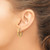 14K Yellow Gold Polished Braided Hoop Earrings, 20 mm - View 3