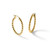 14K Yellow Gold Hollow Polished Beaded Round Hoop Earrings, 25 mm - View 6