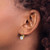 Sterling Shimmer Sterling Silver Gold-Tone Flash-Gold and Silver-Tone 6 mm Cubic Zirconia 2 Stone Leverback Drop Earrings, 5.5 mm Long - View 3