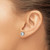 Chisel Stainless Steel Polished 6 mm Bezel Cubic Zirconia Stud Stud Earrings, 7.87 mm Long - View 4