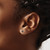 Chisel Stainless Steel Polished 3 mm Black Round Cubic Zirconia Stud Stud Earrings, 3.32 mm Long - View 4