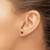 Chisel Stainless Steel Polished 4 mm Black Round Cubic Zirconia Stud Stud Earrings, 4.63 mm Long - View 4