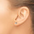 Chisel Stainless Steel Polished 4 mm Star Cubic Zirconia Stud Stud Earrings, 4.41 mm Long - View 4