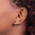 Chisel Stainless Steel Polished 5 mm Black Triangle Cubic Zirconia Stud Stud Earrings, 5.3 mm Long - View 4