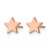 Chisel Stainless Steel Polished Rose Ion-Plated Star Stud Earrings, 7.03 mm - View 3
