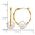 14K Yellow Gold Polished 7-8 mm Semi-Round White Cultured Freshwater Pearl Hoop Earrings, 22 mm Long - View 3