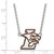 LogoArt Lehigh University Necklace - Sterling Silver Rhodium-Plated Large Enameled Pendant 18 Inch - View 2
