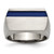 Titanium Grey Ti Brushed/Polished Blue Annodized Stripe Ring