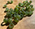 Natural Bag of 10 - 6mm Canadian Nephrite Jade Beads with a large hole