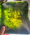 Natural Canadian Nephrite Jade Dish - 1lb 11oz