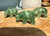 Natural Canadian Jade Grizzly Bear with Jade Fish Figurine 1.25 inch