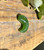 Natural Nephrite Jade Magatama, 12x16mm Pendant