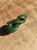 Natural Canadian Jade Double Infinity Twist Pendant, 1.25"