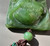 Natural Canadian Nephrite Jade Large Lotus Pendant - 58mm