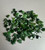 Natural Canadian Nephrite Jade Leaf Lot 100 pieces