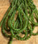Natural 3.5mm Unstrung Canadian Nephrite Jade Beads, 16"