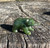 Natural Jade Grizzly Bear with Jade Fish Figurine Size Options