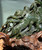 Natural Jade Unique Canadian Cassiar Sculpture - 4lbs 5oz 10.5"