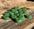 Natural Jade Bead, 14x7.5mm