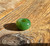 Natural Jade Bead, 14x7.5mm