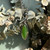 Natural Canadian Nephrite Jade Pendant with CZ 18x6mm