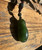 Natural Jade Bird Pendant, 34mm