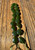 Natural Nephrite Jade Beads for a Bracelet - Canadian Jade 7.75" long