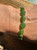 Natural Nephrite Jade Beads for a Bracelet - Canadian Jade 7.75" long
