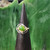 Natural Silver Nephrite Jade Ring - #243S