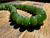 Natural Nephrite Jade Siberian Abacus Unstrung Beads, 18"