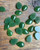 Natural Nephrite Jade Pear/Teardrop Cabochon 10x14mm