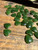 Natural Nephrite Jade Heart Charm, 15mm drilled Sold Individually