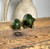 Natural Nephrite Jade Pig Figurine 1.5 2 or 3 inch