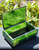 Natural Siberian Nephrite Jade Box, 4.5"