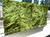 Natural 4" x 4" Canadian Jade Tiles sold individually