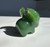 Natural Nephrite Jade Buffalo/Ox Cartoon Charm, 1"